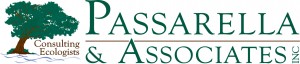 Passarella-Logo-300x64
