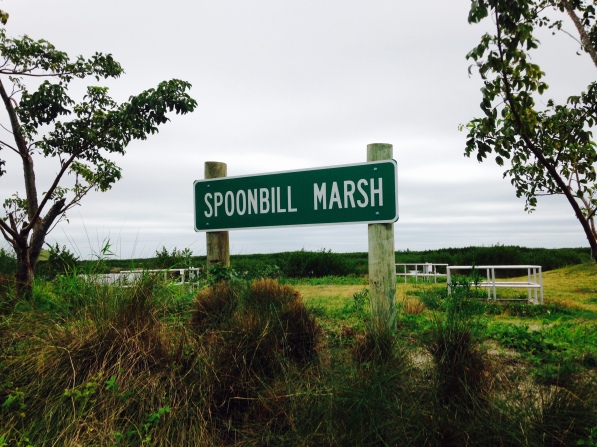 Spoonbill sign